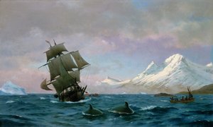 Caccia alle balene, 1875